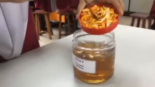 Eco-enzim смотреть онлайн