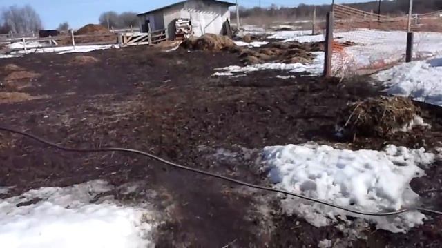 Жизнь в деревне . смотреть онлайн