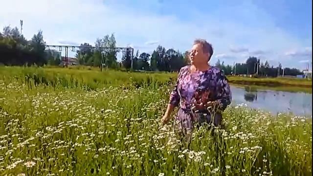 Озерки- микрорайон г Кирова Поет Вараксина Нина смотреть онлайн