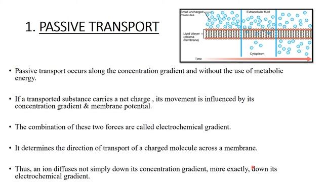 Transport across plasma membrane смотреть онлайн