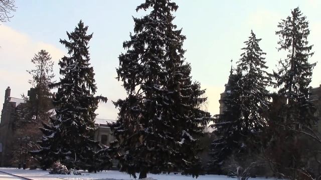 Политехнический зимний парк. Winter Park. смотреть онлайн