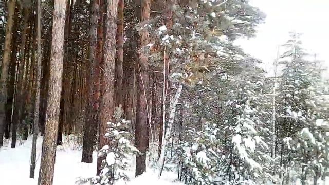 Вдохни Зимние Волшебство смотреть онлайн