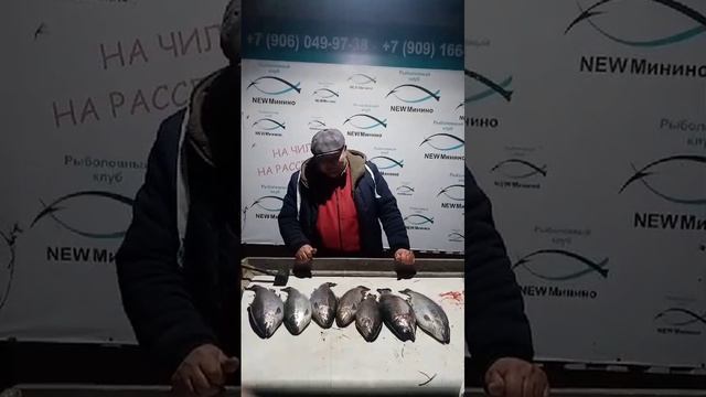 гость водоёма смотреть онлайн