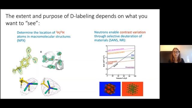 Large scale facilities: neutrons for life science research смотреть онлайн