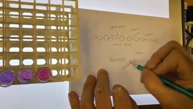 Protein digestion with Biuret's reagent смотреть онлайн