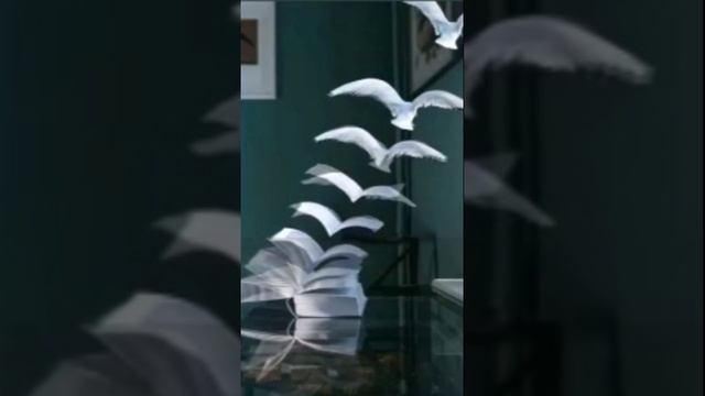 Пусть добро летит по свету Дмитрий Шлапак смотреть онлайн