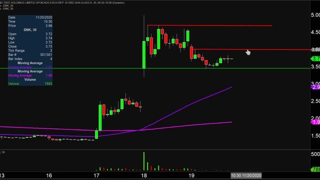 Phoenix Tree Holdings Limited - DNK Stock Chart Technical Analysis for 11-19-2020 смотреть онлайн