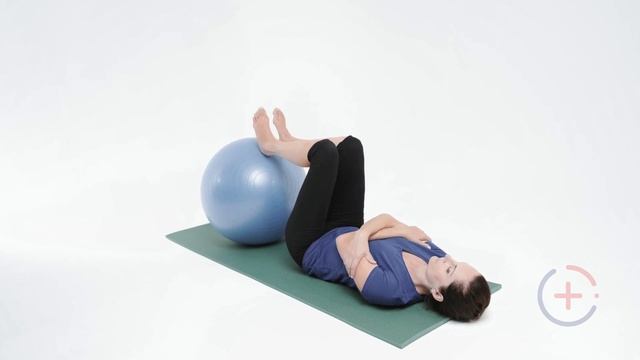 Сгибание и разгибание ног, на фитболе. (Bilateral Lower Limb Flexion/extension On A Stability Ball)
