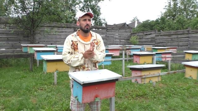 Акция на пчеломатки !!!! смотреть онлайн