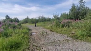 Поехали на рыбалку, а привезли ГРИБЫ !!! Все  пошло не по плану ...