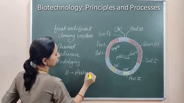 BIOTECHNOLOGY : PRINCIPLES AND PROCESSES - CLONING VECTORS смотреть онлайн