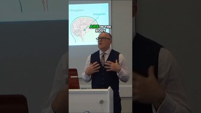 The Connection Between Stress and Superhuman Abilities! смотреть онлайн