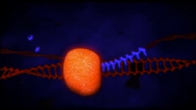 Replication HBV смотреть онлайн