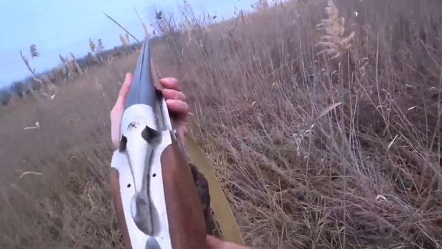 Охоты с ТОЗ-34! 2 выпуск! Фазаны, Утки и даже Гусь! канал: Курцхаары из Коробки! Новые серии охот! смотреть онлайн