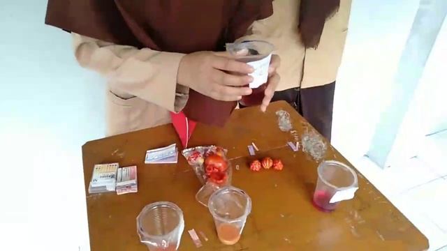 Praktikum Cara Mengukur pH Asam Basa Larutan Menggunakan pH Universal dan Kertas Lakmus#1 смотреть онлайн