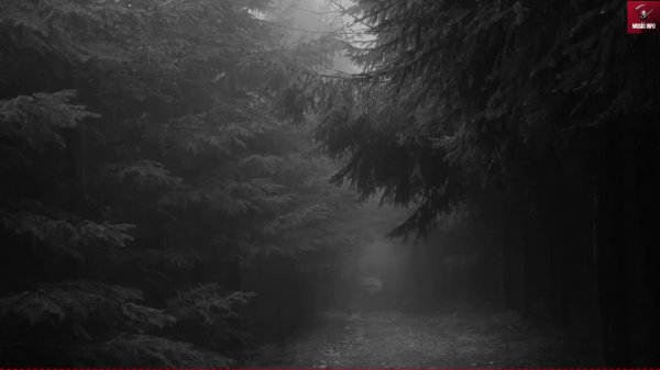 Music Info News 14.11.2024