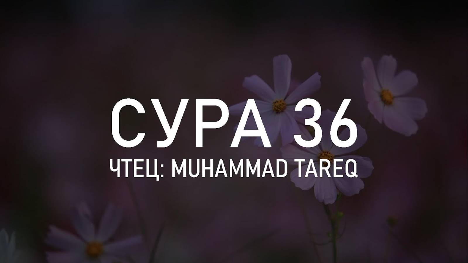 Сура 36 «Йа Син» - Мухаммад Тарик смотреть онлайн
