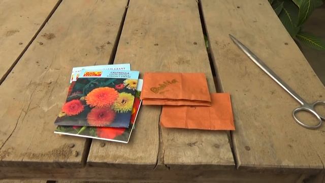 How to Grow Flowers in the Winter | at Home With Izhar Ahamd | Must Watch (Urdu/hindi) смотреть онлайн