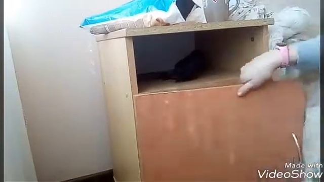 Vlog С Санатория , Сосны' 1 день (2часть) смотреть онлайн