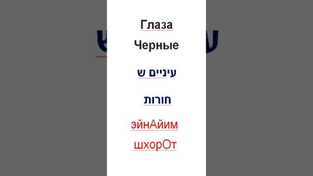 Фразы на иврите / Черные глаза - эйнАйим  шхорОт