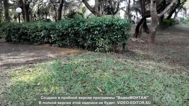 Индия ГОА Varca palms beach ноябрь 2016 без заката смотреть онлайн