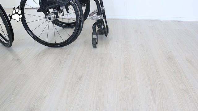Felina Tiger - #66 - NEW WHEELCHAIR смотреть онлайн