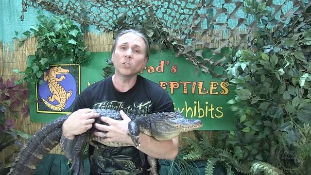 Oregon Reptile Show : SnakeBytesTV : AnimalBytesTV