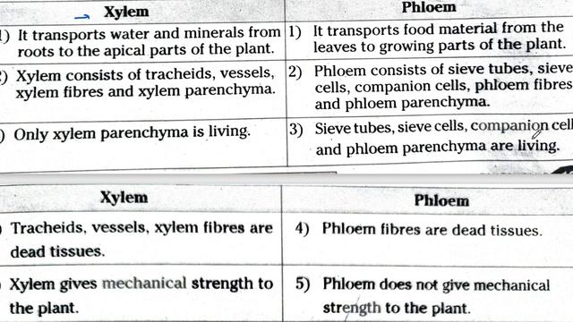 Diff between.10th class important questions 2024 biology. biology important questions class 10 2024 смотреть онлайн