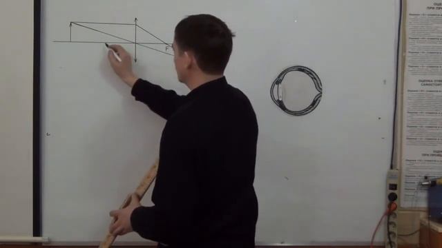 Глаз и зрение смотреть онлайн