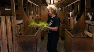 Гидропоника