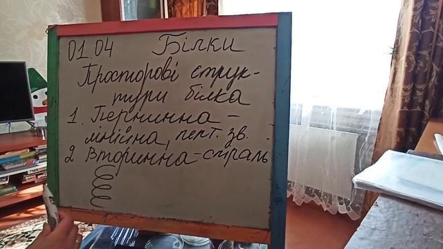 Хімія 10клас, Білки