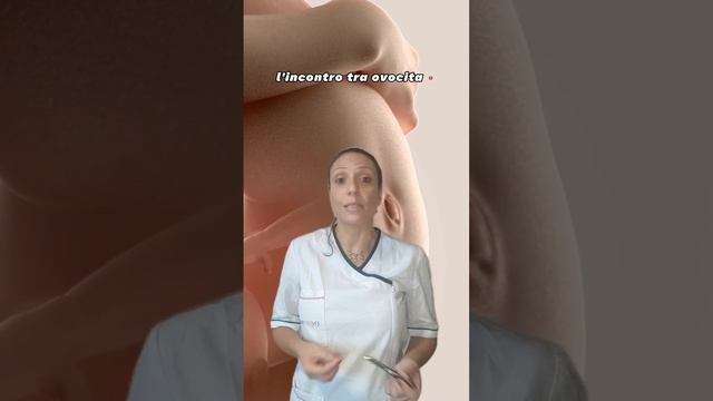 3. PMA | In Cosa Consistono Le Tecniche Di II° Livello?