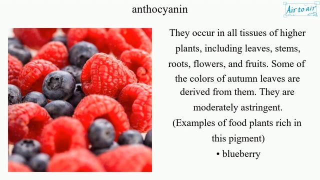 anthocyanin смотреть онлайн