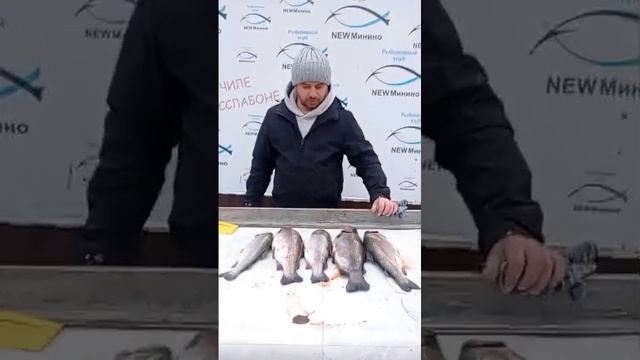 гость водоёма смотреть онлайн