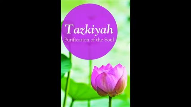 Tazkiya 3 - Oct.11 2016 смотреть онлайн