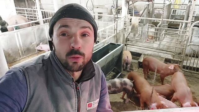 У нас ЧС‼️Ми з вами це зробили‼️Пахова гржа то не проблема‼️Пупова то вже сан-брак‼️Вже їдуть троє смотреть онлайн