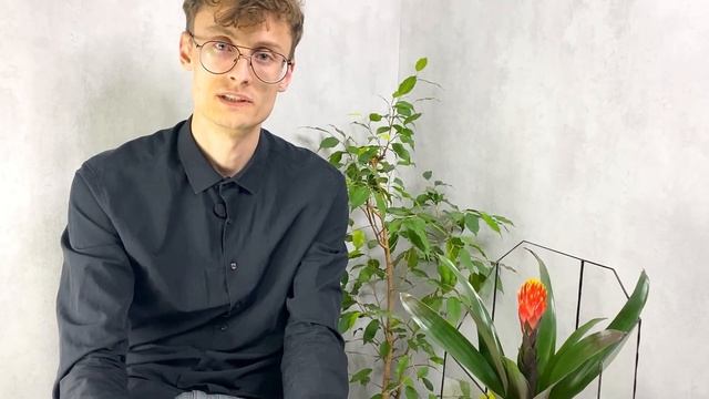 Уход за экзотикой | Гузмания | Guzmania | Яркий комнатный цветок | Флорасфера смотреть онлайн