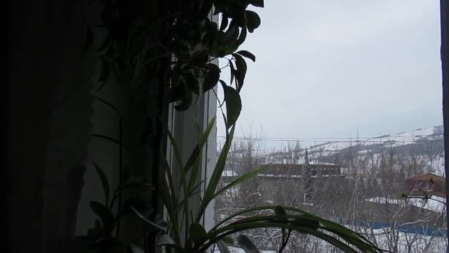 Всё рад я видеть... смотреть онлайн