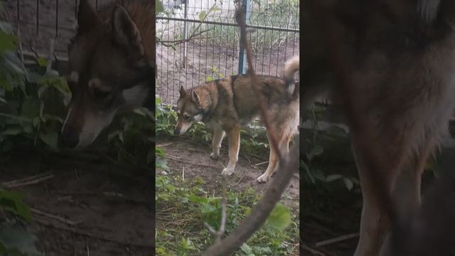 Майские запахи смотреть онлайн