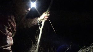 Рыбалка 11 ноября на жерлицы ночью - интересно получилось!