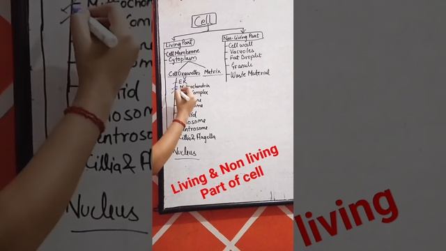 living & non living part of cell #biology #ctet #dssb #lucent #pgt #neet смотреть онлайн