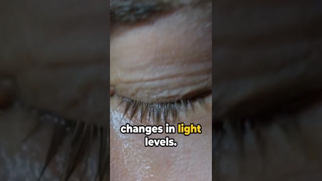 7 Eye Opening Facts About Human Vision