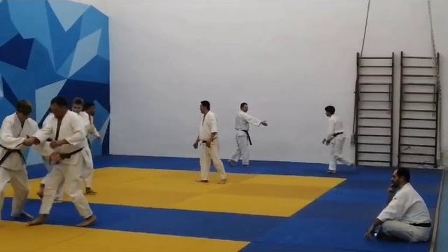 Я на тренировке по айкидо-2024 смотреть онлайн