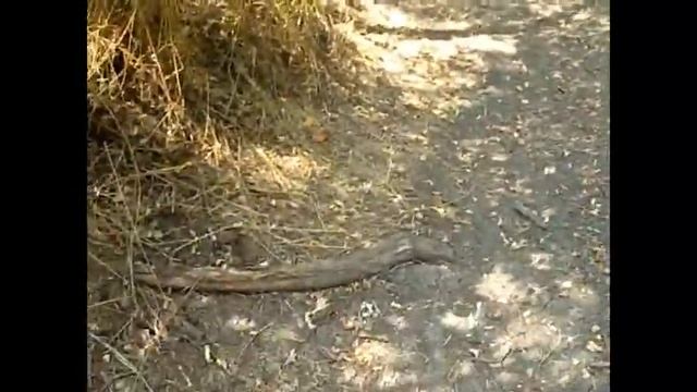 Озёра это естественный Эликсир Жизни. смотреть онлайн