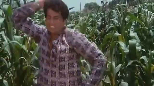 Chandigarh rehan waliea YouTube смотреть онлайн