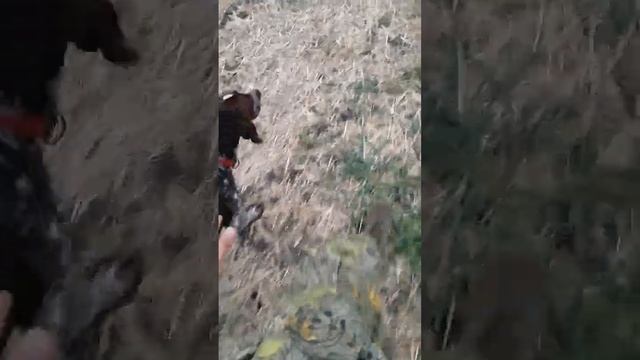 Деффик идёт по команде рядом. смотреть онлайн