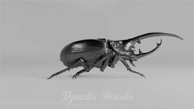 Hercules Beetle - 3D model смотреть онлайн
