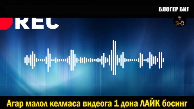 КАШКАДАРЁ КИТОБДА НОМУСГА ТЕКАН БОЛАГА ПРОКУРАТУРА КАРИНДОШМИ? ЗАПИСЛАРДА НИМА БОР ЭКАН? смотреть онлайн