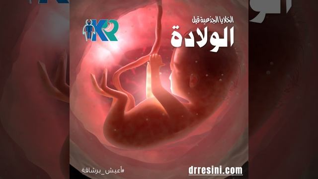 الخلايا الجذعية قبل الولادة смотреть онлайн