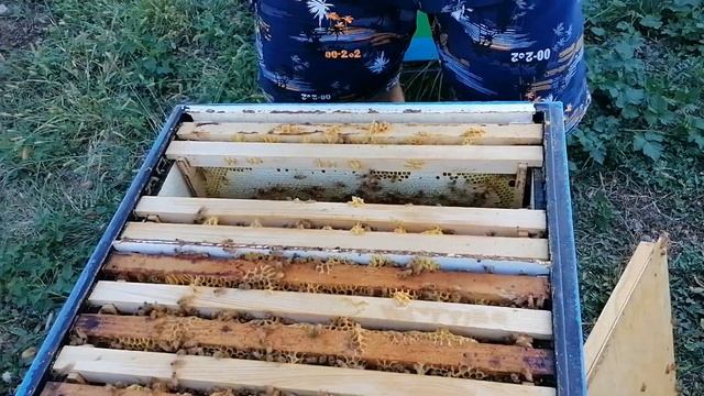 Кордован. Итог